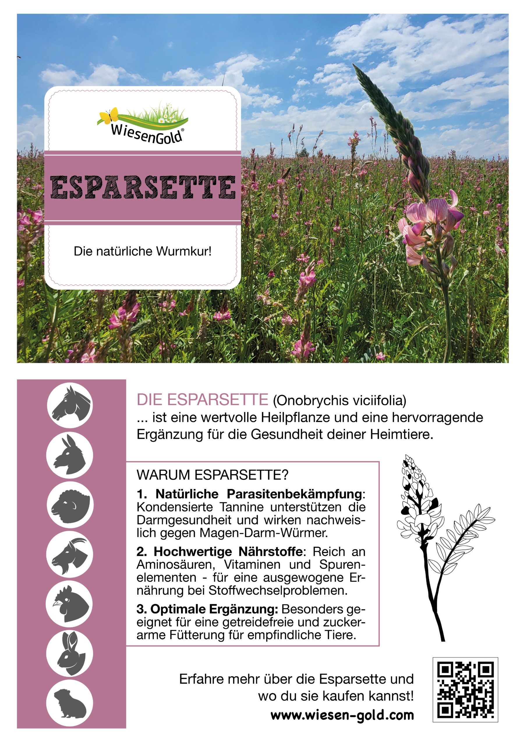 WiesenGold - BIO - Esparsette Pellets (6 kg) – Bild 2