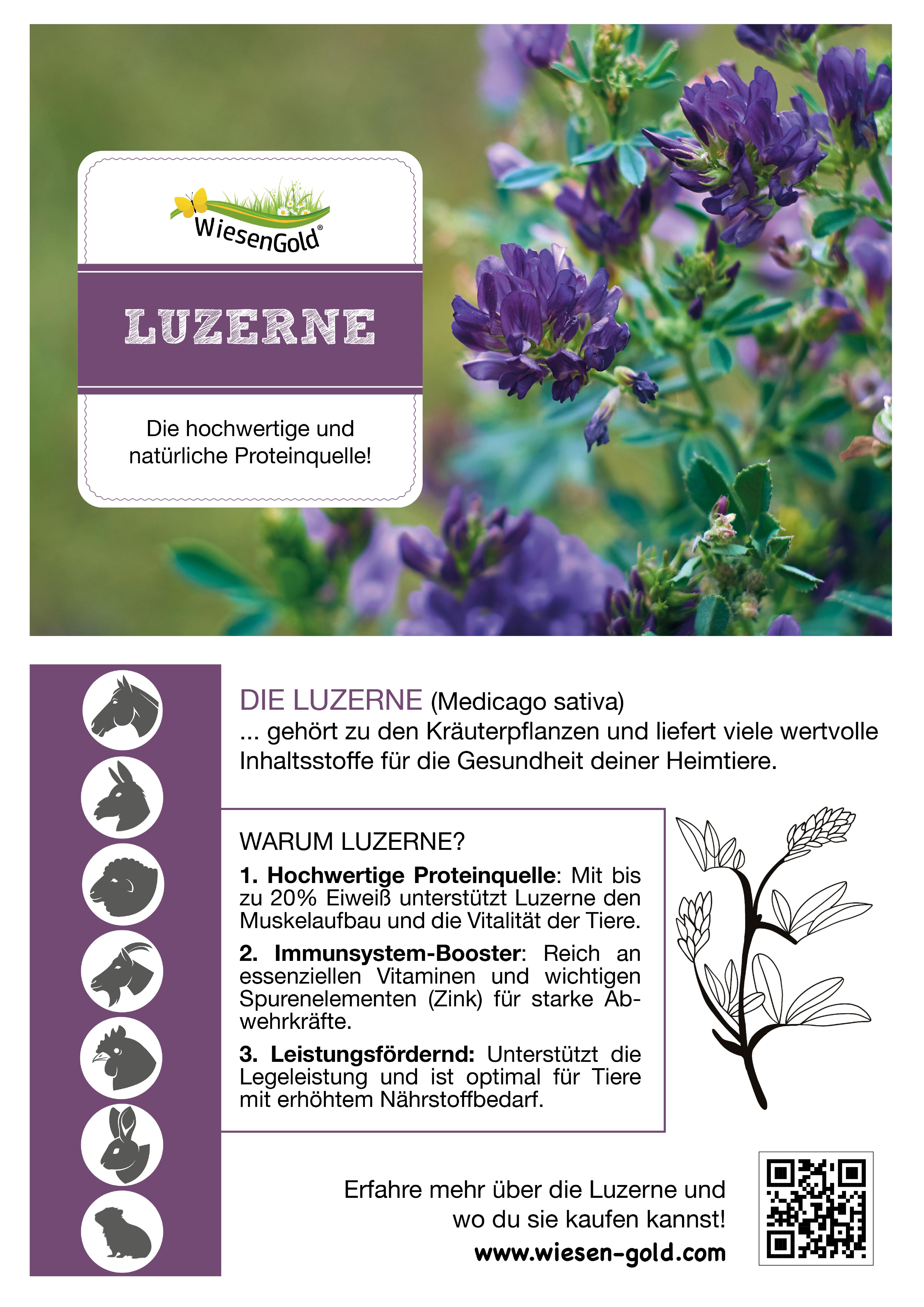 WiesenGold - BIO - Luzerne Pellets 6 kg – Bild 2